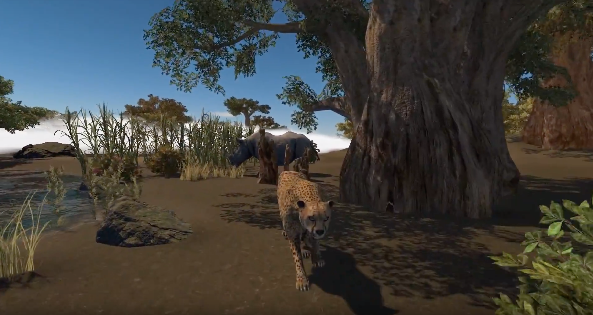 Cheetah.png
