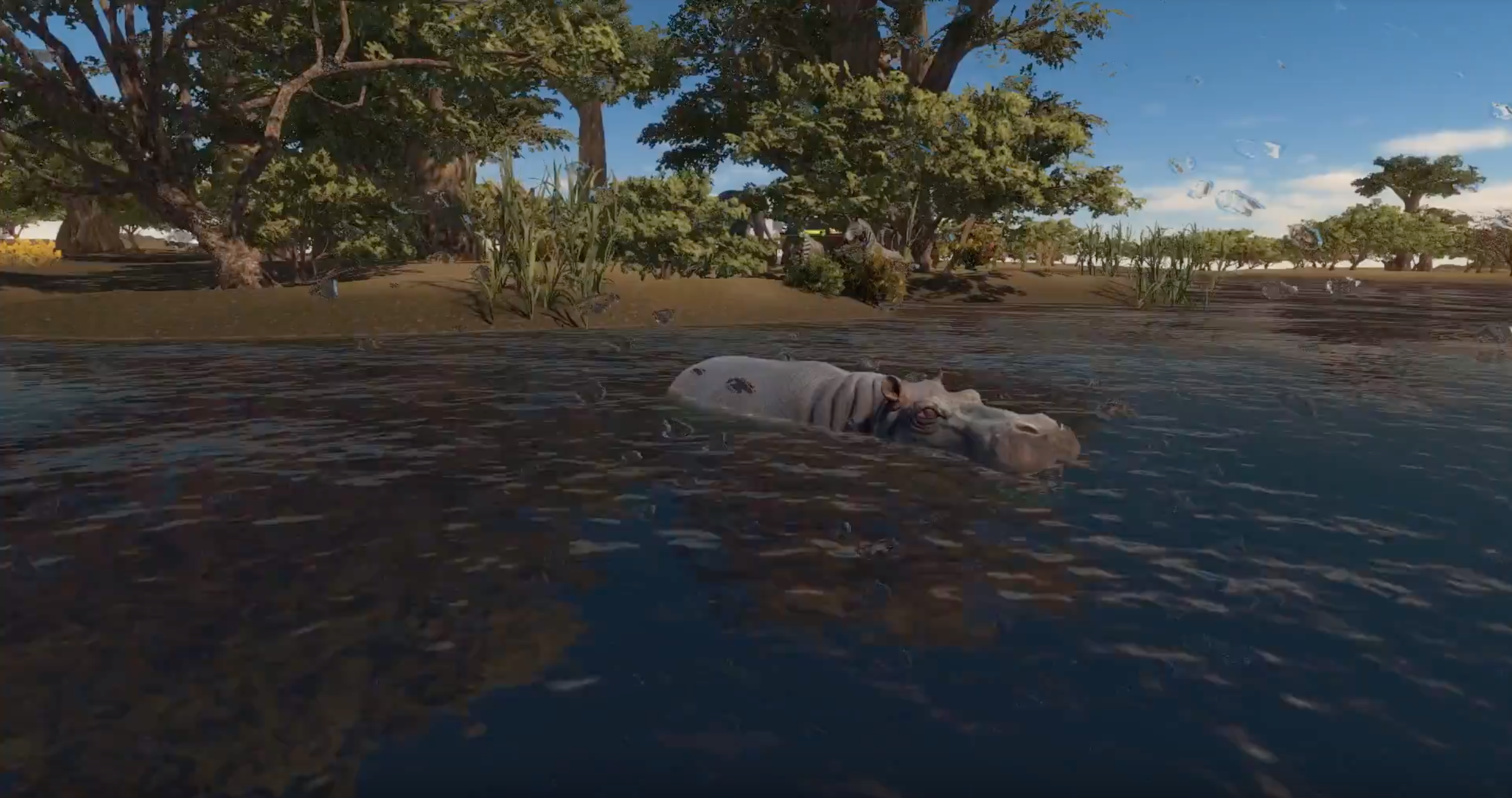 Hippo.png